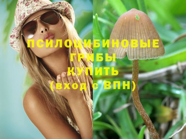 марки nbome Алзамай