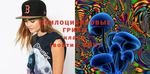 метамфетамин Алексеевка