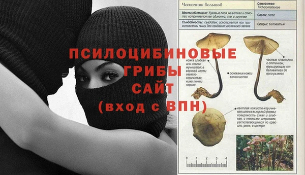 метамфетамин Алексеевка