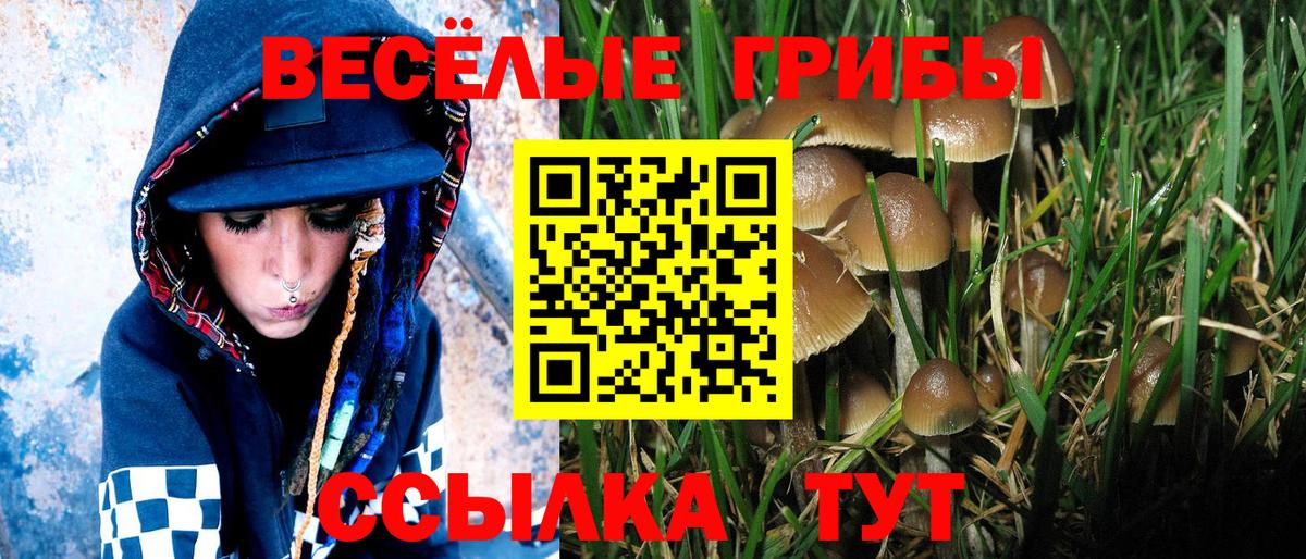 Чусовой  Галлюциногенные грибы Psilocybe  Вход с VPN 