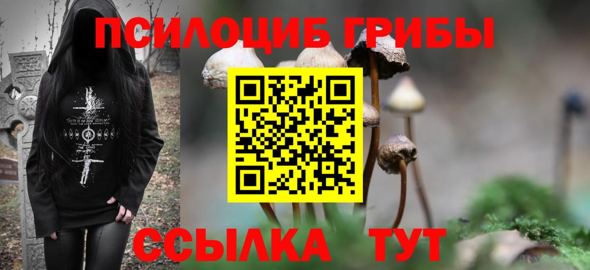 Псилоцибиновые грибы GOLDEN TEACHER Чусовой